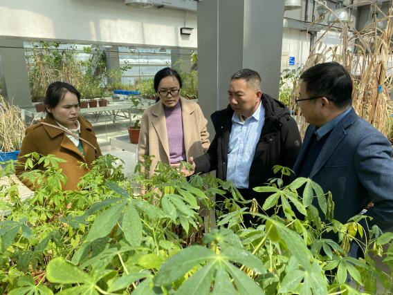 保山综合试验站赴上海开展岗站对接活动