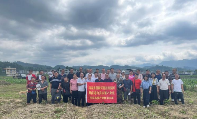 李开绵首席带领专家团队赴国家乡村振兴重点帮扶龙山县开展科技帮扶工作
