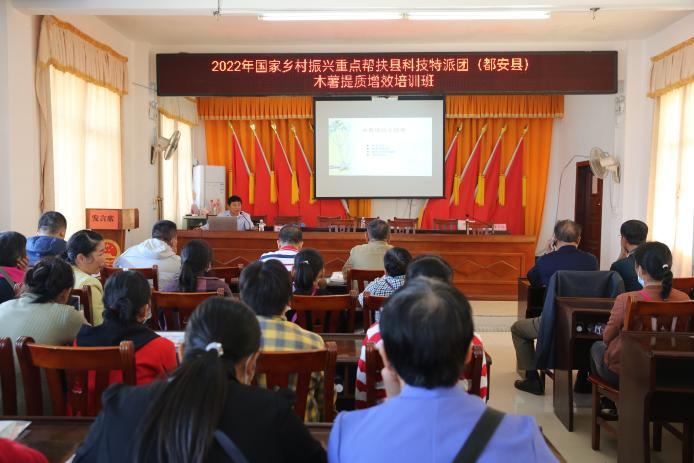 国家乡村振兴重点帮扶县科技特派团木薯产业组出实招助力都安产业发展