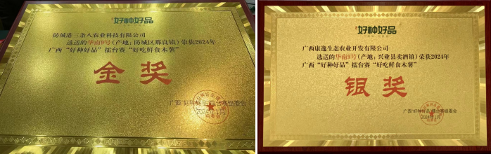华南9号食用木薯获广西“好种好品”擂台赛金银奖