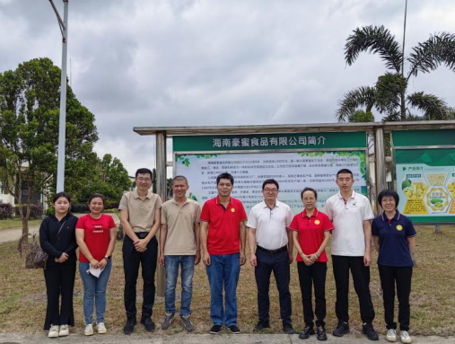 国家木薯产业技术体系岗站专家调研督导菠萝蜜、胡椒示范基地建设