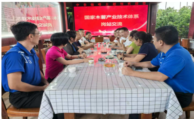 打造体系内多作物产业融合新场景