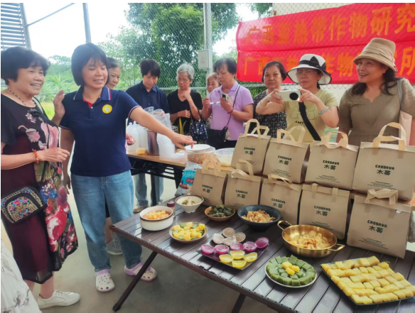 国家木薯产业技术体系在广西南宁开展“广西-东盟特色作物木薯主题科普”系列活动