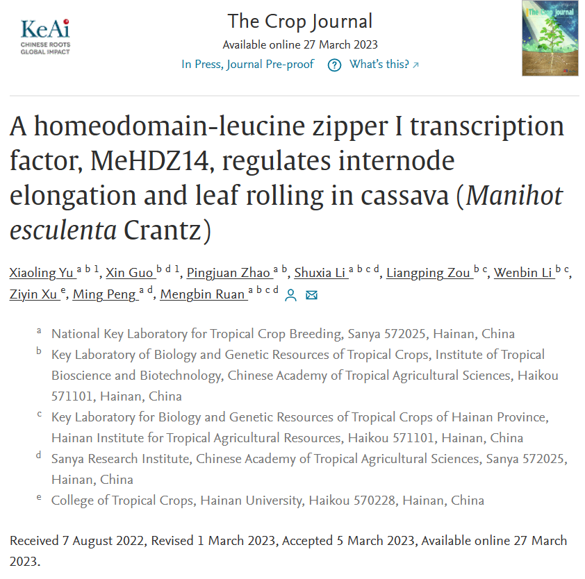 The Crop Journal│中国热带农业科学院生物技术研究所揭示HD-Zip转录因子调控木薯植株发育与干旱胁迫响应平衡的机制