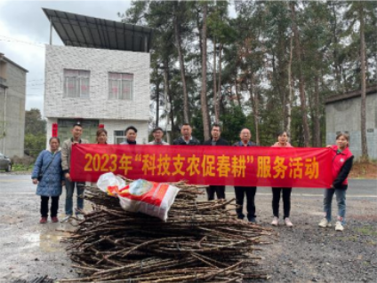 国家木薯产业技术体系桂林综合试验站开展“科技支农促春耕”服务活动