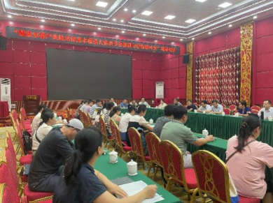 国家乡村振兴重点帮扶马山县科技特派团木薯产业组开展科技帮扶工作