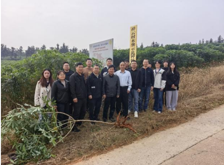 木薯病害防控岗与长沙、桂林综合试验站联合开展北移木薯花叶病调查