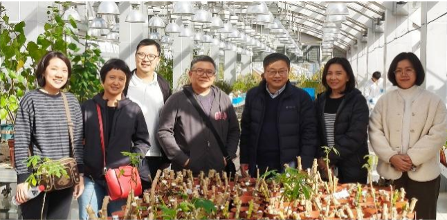“一带一路”木薯技术共享：中泰联合组织培养与遗传转化实训营在沪举行