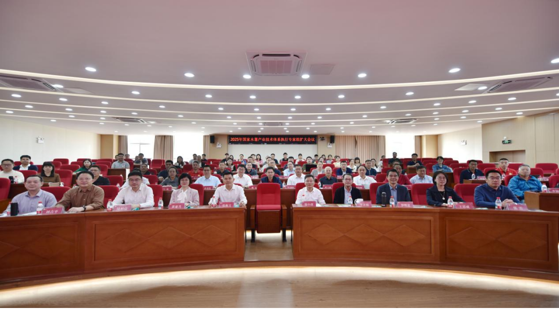 2025年国家木薯产业技术体系执行专家组扩大会议在广州成功举办