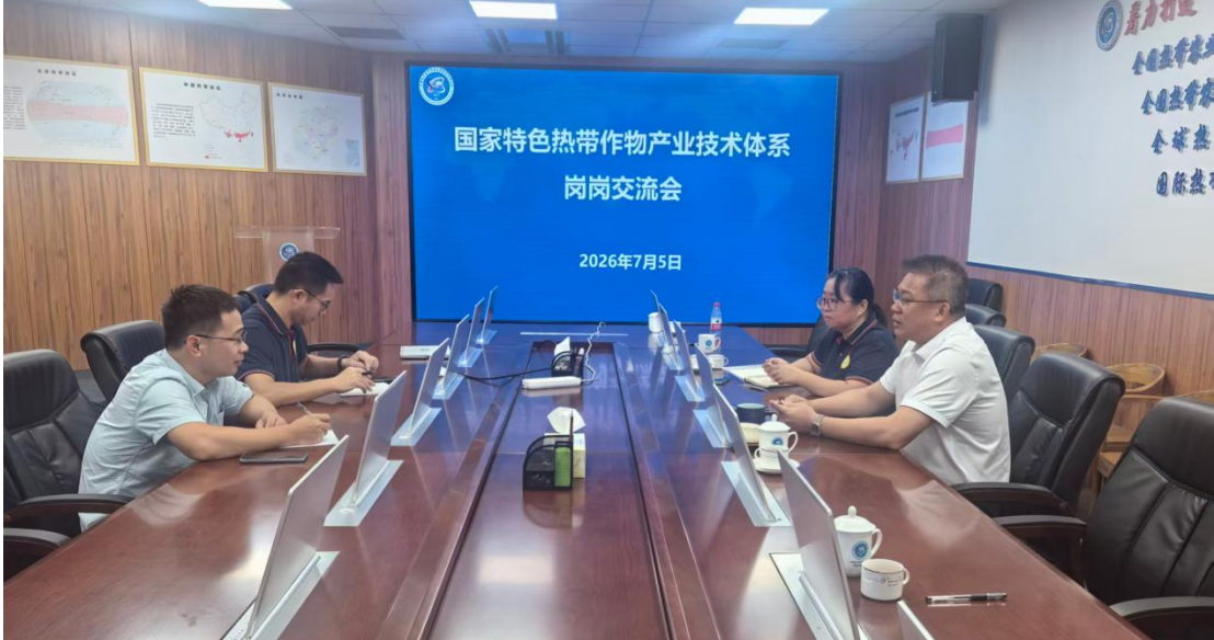 岗岗对接交流，AI赋能木薯科研发展