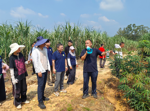 国家和地方体系专家为木薯“新发病害”开“处方”——斯里兰卡木薯花叶病防控技术观摩交流活动在广西合浦举行