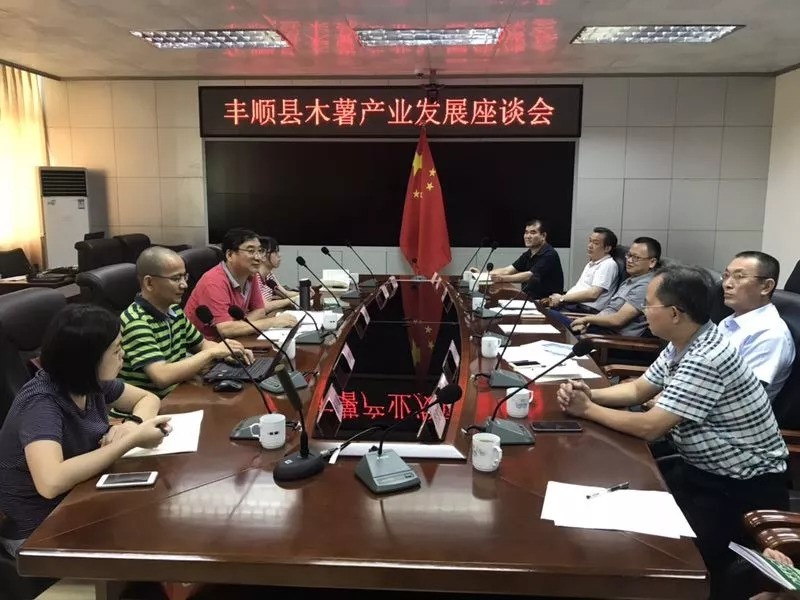 华南木薯史调研组赴广东丰顺县开展木薯调研