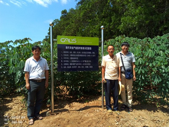 栽培生理岗位团队到白沙综合试验站调研