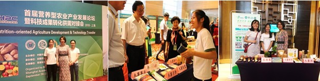 木薯体系岗站联合参加首届营养型农业产业发展论坛暨科技成果转化供需对接会