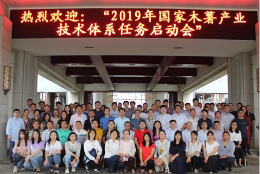 2019年国家木薯产业技术体系启动会顺利召开